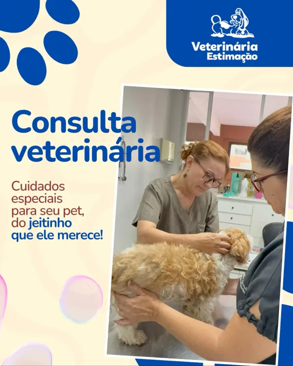 Veterinárias examinando um cachorro na consulta, com o título Consulta veterinária